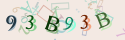 Musíte opsat 6 znaků z množiny 0..9 nebo A..F z obrázku.