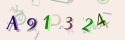 Musíte opsat 6 znaků z množiny 0..9 nebo A..F z obrázku.