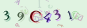 Musíte opsat 6 znaků z množiny 0..9 nebo A..F z obrázku.