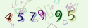 Musíte opsat 6 znaků z množiny 0..9 nebo A..F z obrázku.