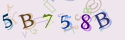 Musíte opsat 6 znaků z množiny 0..9 nebo A..F z obrázku.