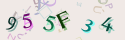 Musíte opsat 6 znaků z množiny 0..9 nebo A..F z obrázku.