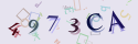 Musíte opsat 6 znaků z množiny 0..9 nebo A..F z obrázku.