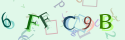 Musíte opsat 6 znaků z množiny 0..9 nebo A..F z obrázku.