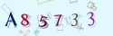 Musíte opsat 6 znaků z množiny 0..9 nebo A..F z obrázku.