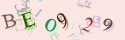 Musíte opsat 6 znaků z množiny 0..9 nebo A..F z obrázku.