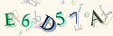 Musíte opsat 6 znaků z množiny 0..9 nebo A..F z obrázku.