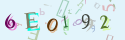 Musíte opsat 6 znaků z množiny 0..9 nebo A..F z obrázku.