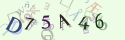 Musíte opsat 6 znaků z množiny 0..9 nebo A..F z obrázku.