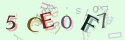 Musíte opsat 6 znaků z množiny 0..9 nebo A..F z obrázku.