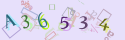 Musíte opsat 6 znaků z množiny 0..9 nebo A..F z obrázku.