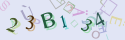 Musíte opsat 6 znaků z množiny 0..9 nebo A..F z obrázku.