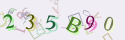 Musíte opsat 6 znaků z množiny 0..9 nebo A..F z obrázku.