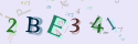 Musíte opsat 6 znaků z množiny 0..9 nebo A..F z obrázku.