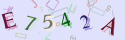 Musíte opsat 6 znaků z množiny 0..9 nebo A..F z obrázku.