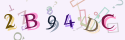 Musíte opsat 6 znaků z množiny 0..9 nebo A..F z obrázku.