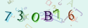 Musíte opsat 6 znaků z množiny 0..9 nebo A..F z obrázku.
