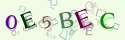 Musíte opsat 6 znaků z množiny 0..9 nebo A..F z obrázku.