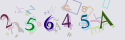 Musíte opsat 6 znaků z množiny 0..9 nebo A..F z obrázku.