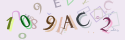 Musíte opsat 6 znaků z množiny 0..9 nebo A..F z obrázku.