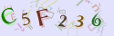 Musíte opsat 6 znaků z množiny 0..9 nebo A..F z obrázku.