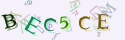 Musíte opsat 6 znaků z množiny 0..9 nebo A..F z obrázku.