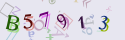 Musíte opsat 6 znaků z množiny 0..9 nebo A..F z obrázku.