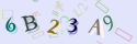 Musíte opsat 6 znaků z množiny 0..9 nebo A..F z obrázku.