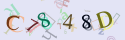 Musíte opsat 6 znaků z množiny 0..9 nebo A..F z obrázku.
