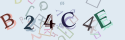 Musíte opsat 6 znaků z množiny 0..9 nebo A..F z obrázku.