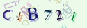 Musíte opsat 6 znaků z množiny 0..9 nebo A..F z obrázku.