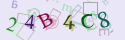 Musíte opsat 6 znaků z množiny 0..9 nebo A..F z obrázku.