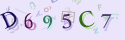 Musíte opsat 6 znaků z množiny 0..9 nebo A..F z obrázku.