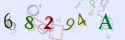 Musíte opsat 6 znaků z množiny 0..9 nebo A..F z obrázku.