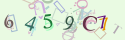 Musíte opsat 6 znaků z množiny 0..9 nebo A..F z obrázku.