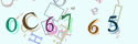 Musíte opsat 6 znaků z množiny 0..9 nebo A..F z obrázku.