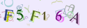 Musíte opsat 6 znaků z množiny 0..9 nebo A..F z obrázku.