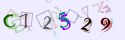 Musíte opsat 6 znaků z množiny 0..9 nebo A..F z obrázku.
