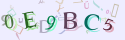 Musíte opsat 6 znaků z množiny 0..9 nebo A..F z obrázku.