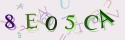 Musíte opsat 6 znaků z množiny 0..9 nebo A..F z obrázku.