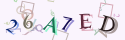 Musíte opsat 6 znaků z množiny 0..9 nebo A..F z obrázku.