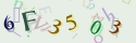 Musíte opsat 6 znaků z množiny 0..9 nebo A..F z obrázku.