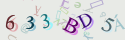 Musíte opsat 6 znaků z množiny 0..9 nebo A..F z obrázku.