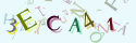 Musíte opsat 6 znaků z množiny 0..9 nebo A..F z obrázku.