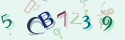 Musíte opsat 6 znaků z množiny 0..9 nebo A..F z obrázku.