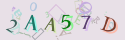 Musíte opsat 6 znaků z množiny 0..9 nebo A..F z obrázku.
