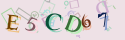 Musíte opsat 6 znaků z množiny 0..9 nebo A..F z obrázku.