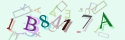 Musíte opsat 6 znaků z množiny 0..9 nebo A..F z obrázku.