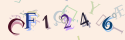 Musíte opsat 6 znaků z množiny 0..9 nebo A..F z obrázku.