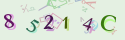 Musíte opsat 6 znaků z množiny 0..9 nebo A..F z obrázku.